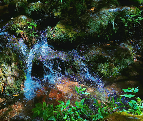 龙8头号玩家(国际)官方网站